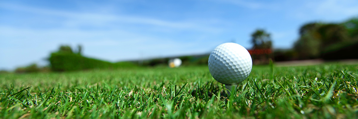 Lawn Care Grapevine Services Lawn Care Grapevine Services